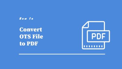 convert ots to pdf