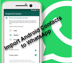 How to Import Android Contacts to Whatsapp