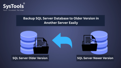 backup sql server database to older version in another server