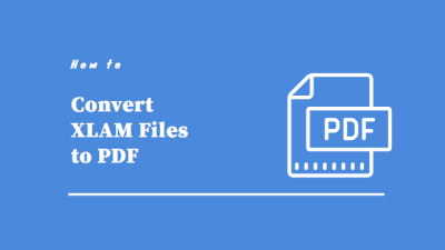 xlam to pdf