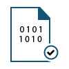 Data Integrity