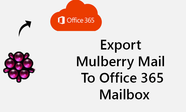 Export Mulberry Mail to Office 365