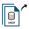 export schema