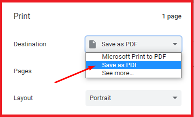 save as PDF option