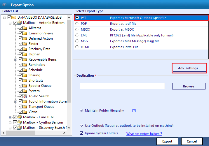 export options