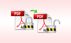 PDF File is Protected
