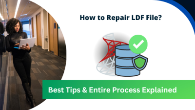 how to repair LDF file