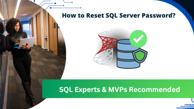 how to reset SQL password