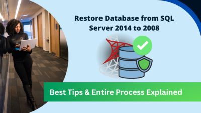 restore database from SQL Server 2014 to 2008 R2