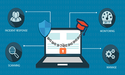 Information Security Team Roles and Responsibilities