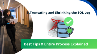 truncate and shrink SQL log file
