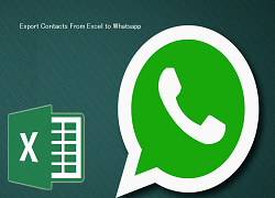 Export Contacts From Excel to Whatsapp