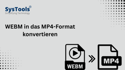 WEBM in das MP4-Format konvertieren