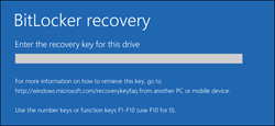 Open BitLocker VHD