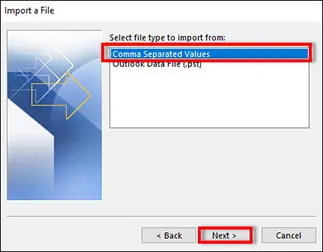 File Format