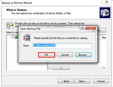 backup and restore wizard