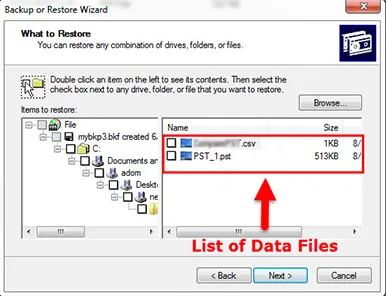 free tool to view BKF file