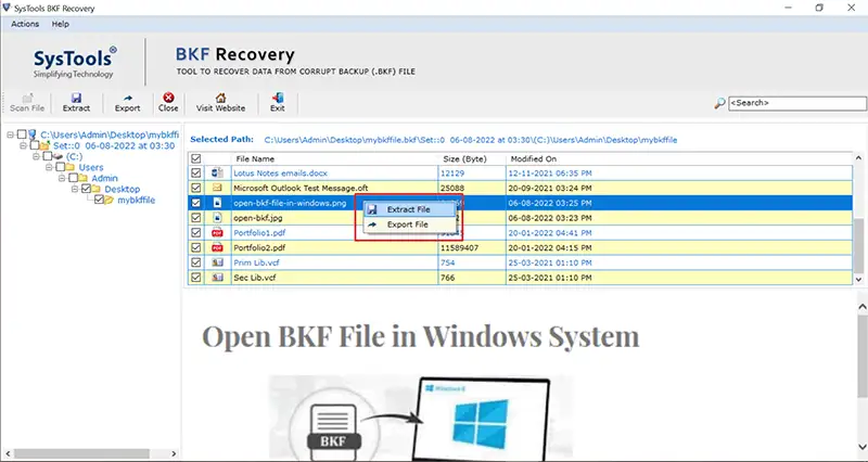 preview files from bkf