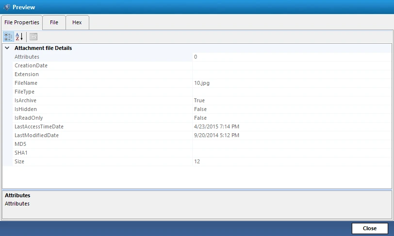 Preview the File Contents