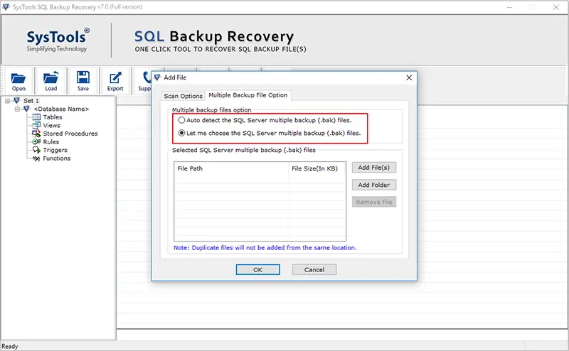 Restore Multiple BAK Files