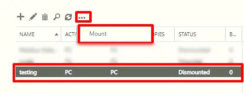 Mount option