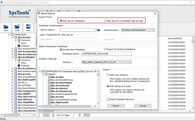 Export Option