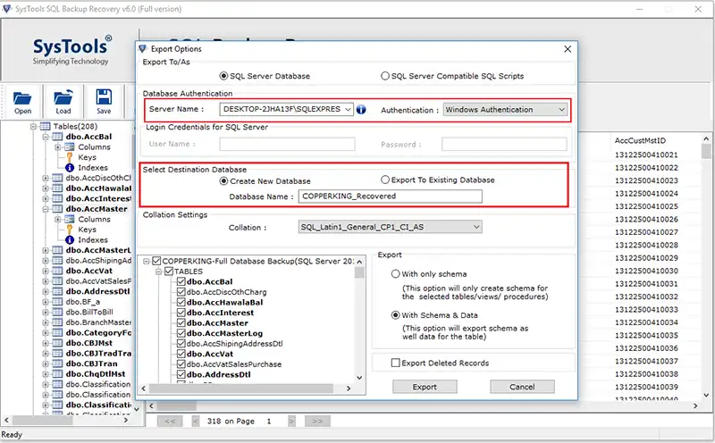 choose database authentication