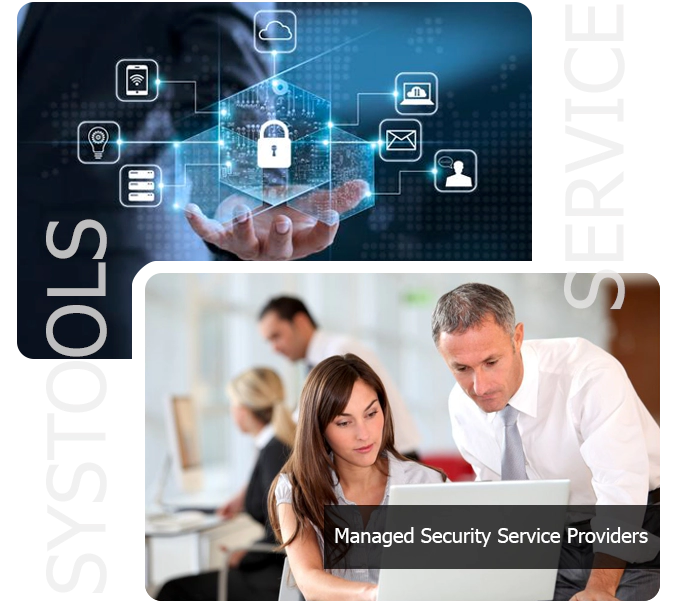 Managed Security Service Providers
