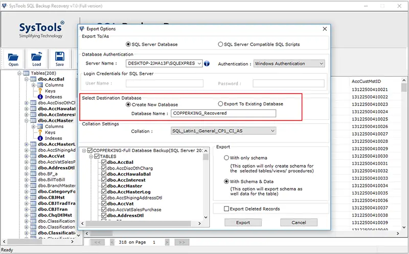 Restore SQL Server Backup to New Database