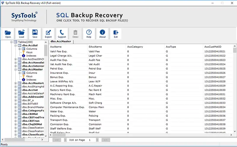 preview of all recovered data items